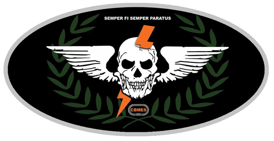 Brevê do COESD — caveira alada com raio laranja, ramos de louro e o lema Semper Fi Semper Paratus